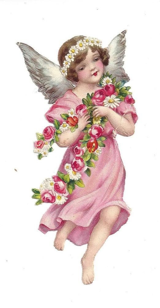 Anhconggiao.com - Thiên thần ôm dây hoa