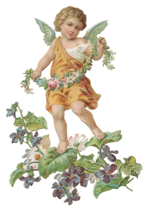 Anhconggiao.com - Thiên thần đứng trên lá