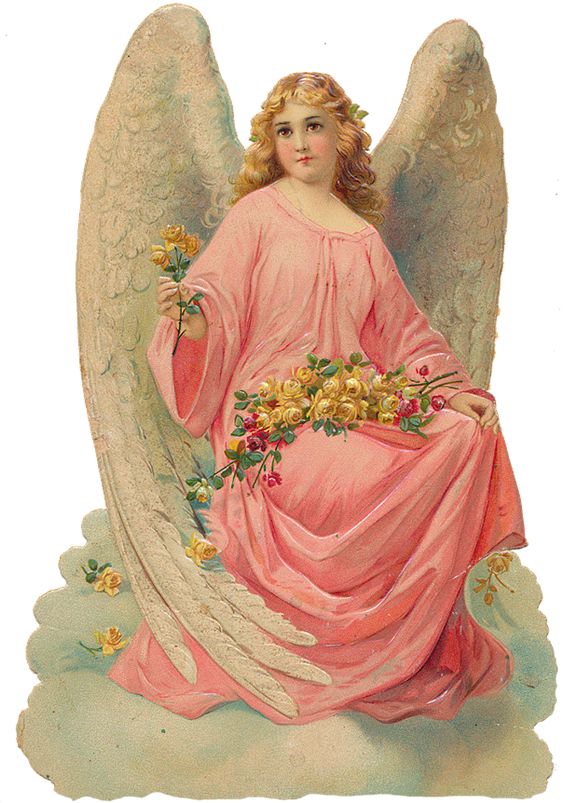 Anhconggiao.com - Thiên thần quỳ gối