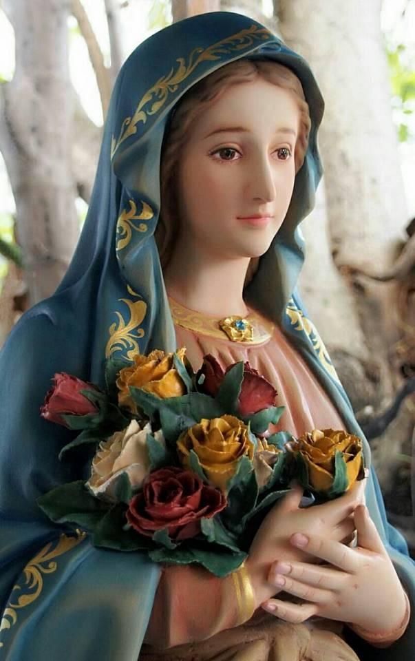 Anhconggiao.com - Ảnh Đức mẹ ôm hoa hồng
