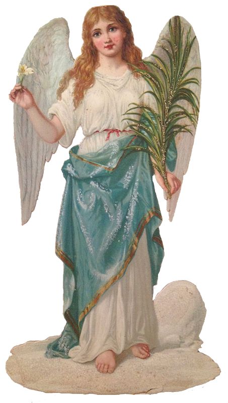 Anhconggiao.com - Thiên thần cầm cành thiên tuế