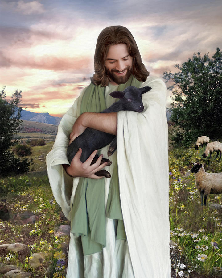 anhconggiao.sharecodegiare.io.vn - Chúa Giêsu và chiên con